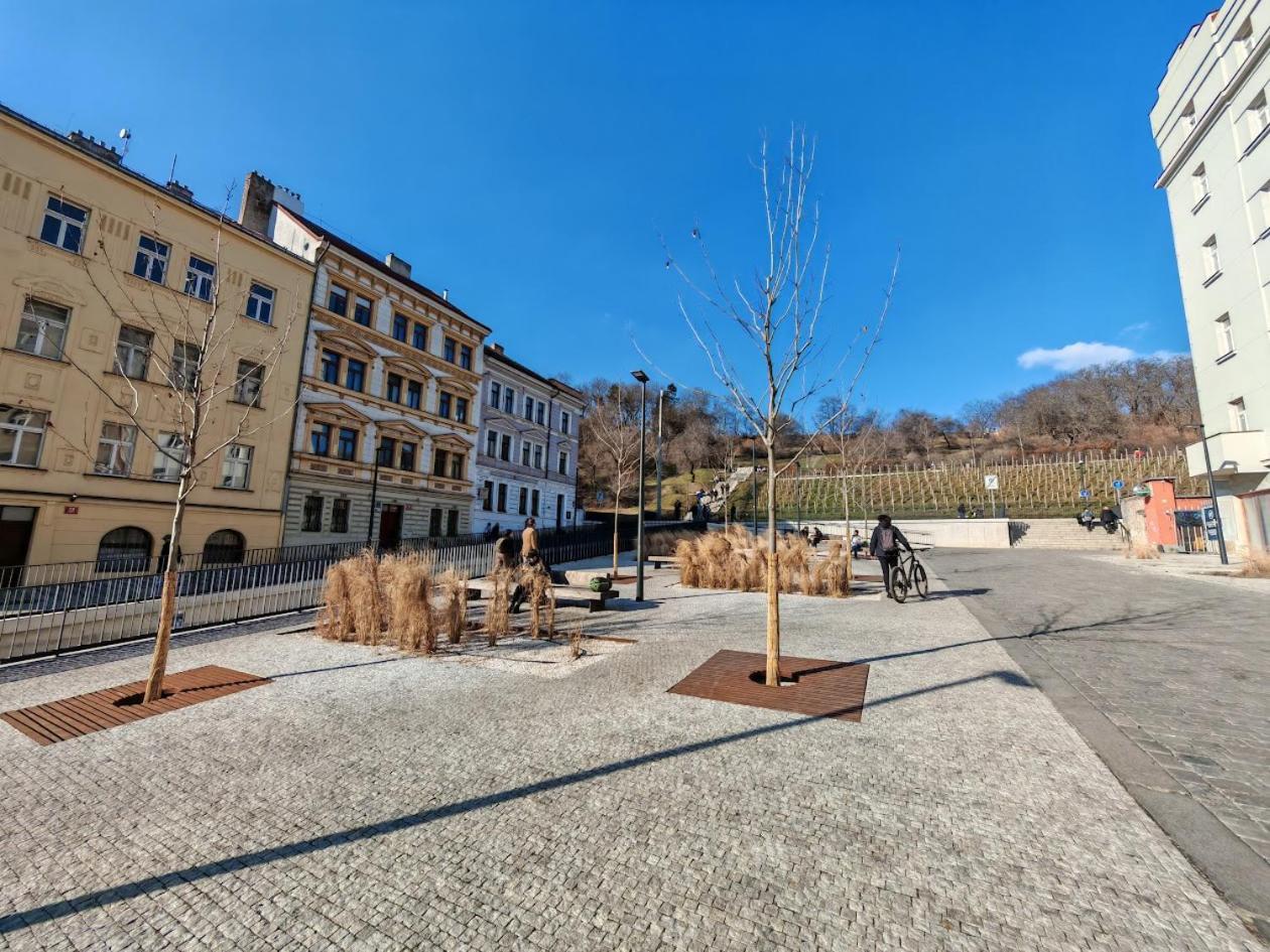 Flat In Zizkov -103- Praga