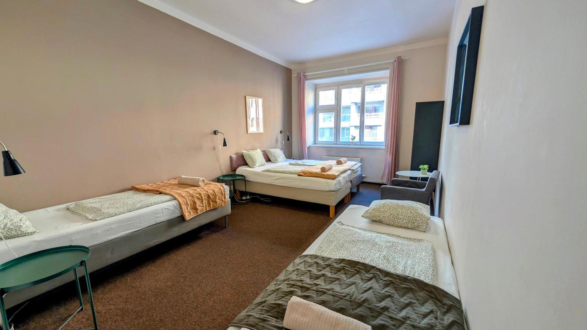 Apartamento Flat In Zizkov -103-